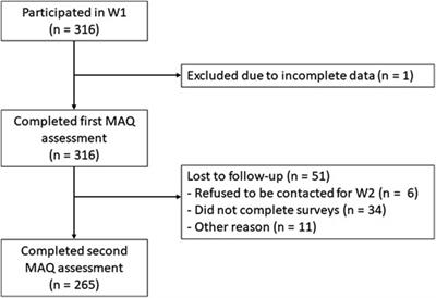 Cure for tantrums? Longitudinal associations between parental digital emotion regulation and children's self-regulatory skills